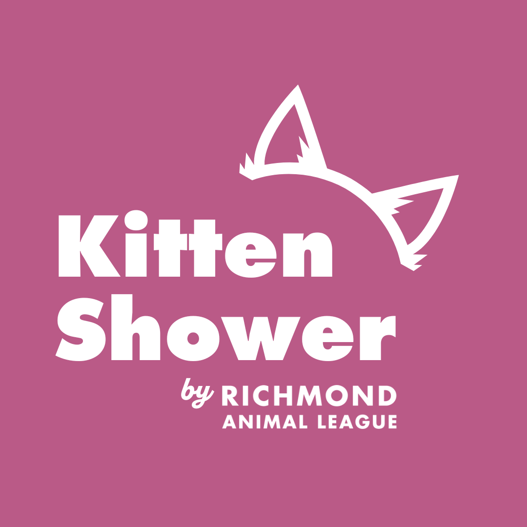 Kitten Shower 2025 - logo